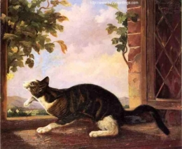 Cat Stalking a Butterfly.jpg