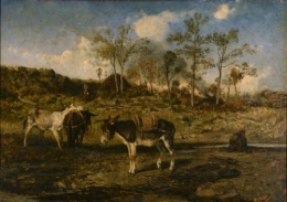 Donkeys.jpg