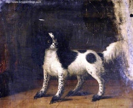 A Black and White King Charles Spaniel.jpg