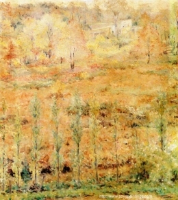 Springs Palette.jpg