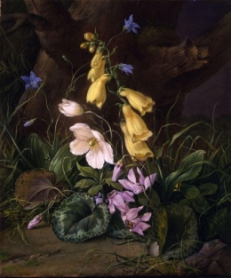 Wildflowers at the Base of a Tree.jpg