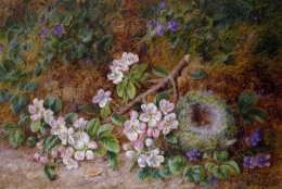 May Blossom and a Birds Nest.jpg