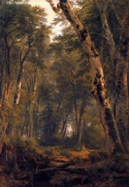 Study: Woodland Interior.jpg
