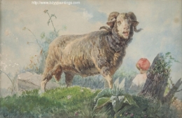 Sheep.jpg
