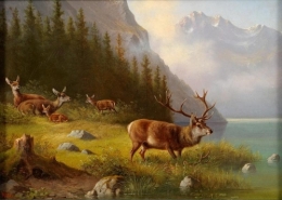Deer on a Lake.jpg