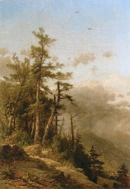 Landscape from the Heights.jpg