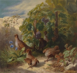 Partridges.jpg