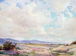 When the Desert Blooms.jpg