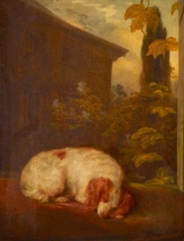A Sleeping Spaniel Called Belle.jpg
