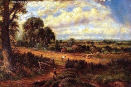 Landscape Cornfield.jpg