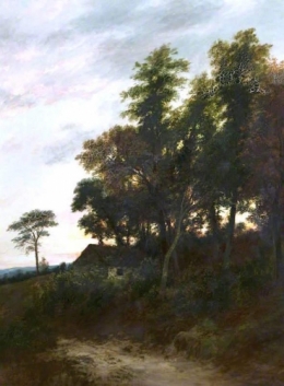 Trees in Perthshire at Dusk.jpg