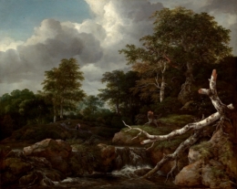A Forest Scene.jpg