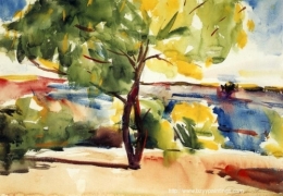 Two Mesquite Trees.jpg