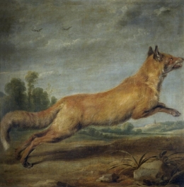 A Running Fox.jpg