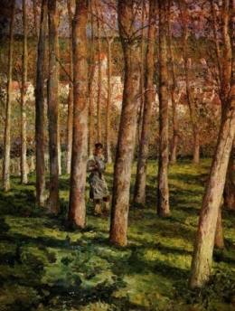 The Forest.jpg