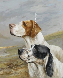 English Setter and Pointer.jpg