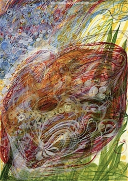 The Flower of Catherine Stringer.jpg