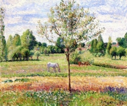 Meadow with Grey Horse Eragny.jpg