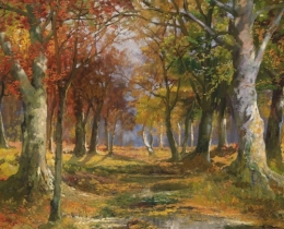 Forest in Autumn.jpg