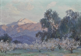 Evening Glow Mt San Jacinto Almond Trees.jpg