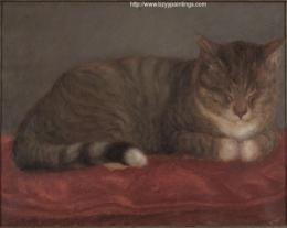 Sleeping Cat.jpg