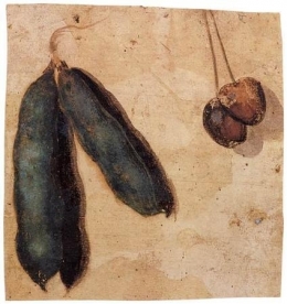 Peapods and Cherries.jpg