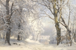 Forest in winter.jpg