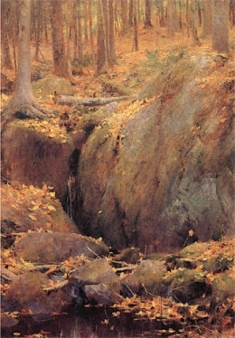 Rocky Pool.jpg