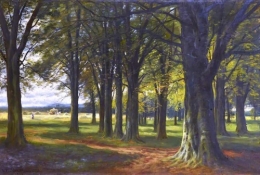 A Beech Wood.jpg