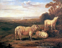 Sheep on the Downs.jpg