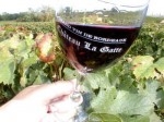 lagatte vin.jpg