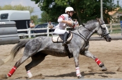 marie benoit, horse ball, petite chronique, ecuries du pato