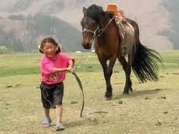 ob_030eec_chevaux-mmongolie.jpg