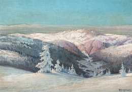 BlickinsverschneiteTal_15085.jpg