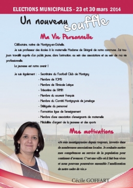 CV cécile.jpg