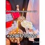 les dangers du portefeuille magique,portefeuille magique,les dangers du porte monnaie magique,les dangers du bedou magique,les dangers du valise magique,les dangers du calebasse magique,portefeuille magique,portefeuille magique abidjan,portefeuille magique burkina faso,portefeuille magique cote d'ivoire,portefeuille magique mali,portefeuille magique togo,portefeuille magique senegal,portefeuille magique en france,vrai portefeuille magique,vrai bedou magique,marabout très puissant