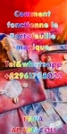 COMMENT FONCTIONNE LE PORTEFEUILLE MAGIQUE