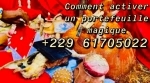 PORTEFEUILLE MAGIQUE