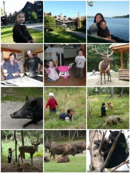 mosaic7240136.jpg