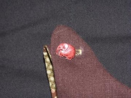 2120031800.JPG