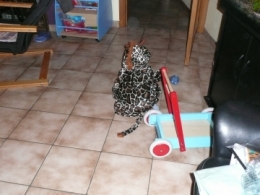bb840988f0ecebbf8b02c60d79bd8422.jpg