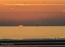 WimManchecoucherdesoleil-3131.jpg